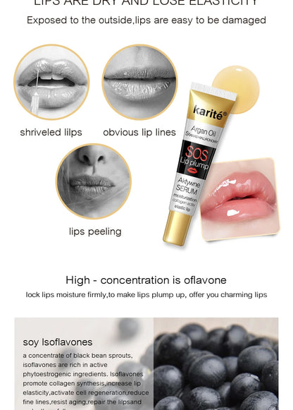 17ml Transparent Lip Plumper Gloss Moisturizing Reduce Fine Lines Care Lip Oil 3D Sexy Lips Plumping Lipgloss Makeup Cosmetic